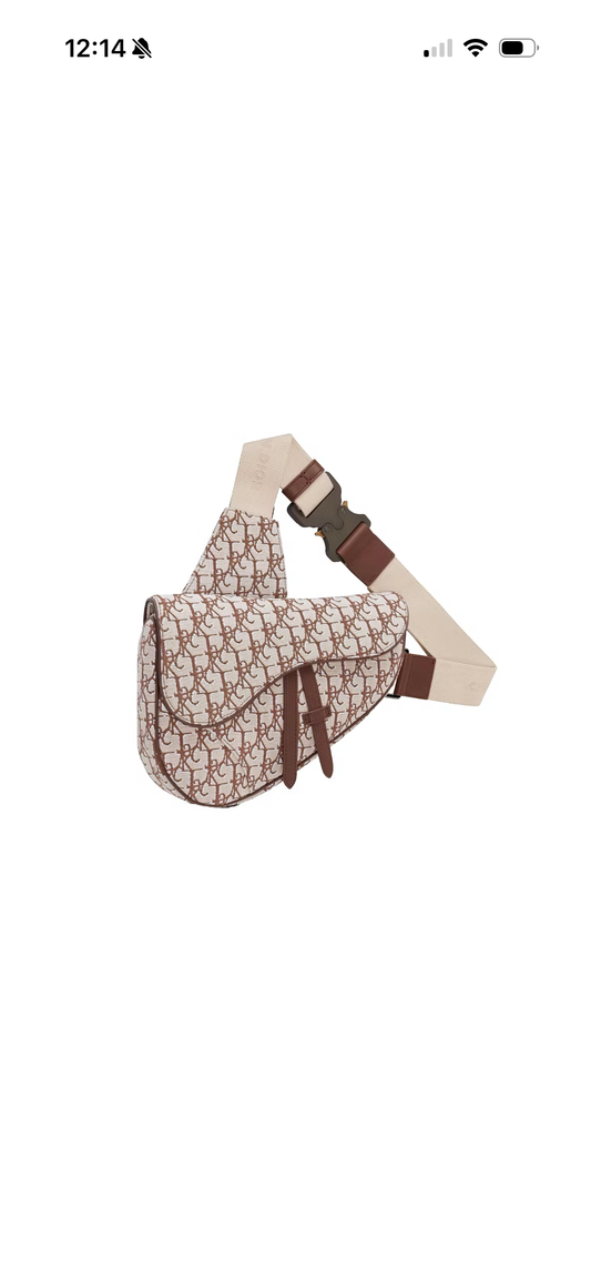 Dior x CACTUS JACK Oblique Jacquard
Saddle